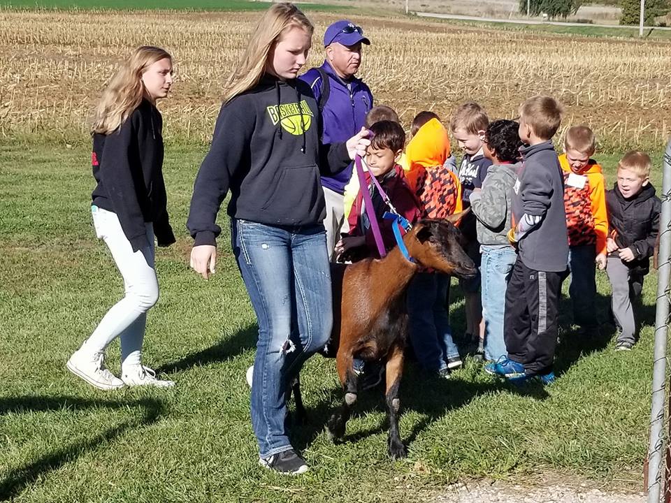 Kiel FFA student walking with goat